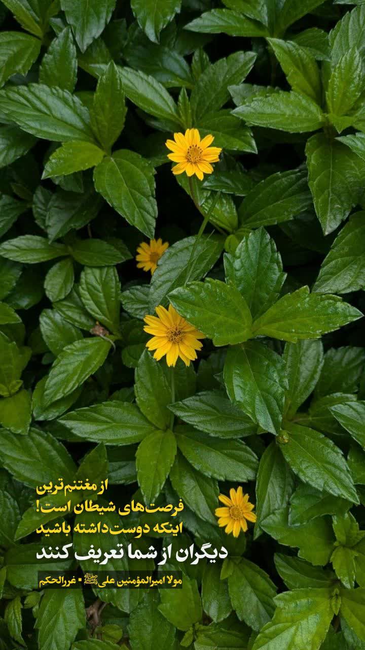 شروع بچه‌زرنگ